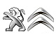 Колпачок ступицы колеса Peugeot-Citroen с эмблемой Citroen 542165